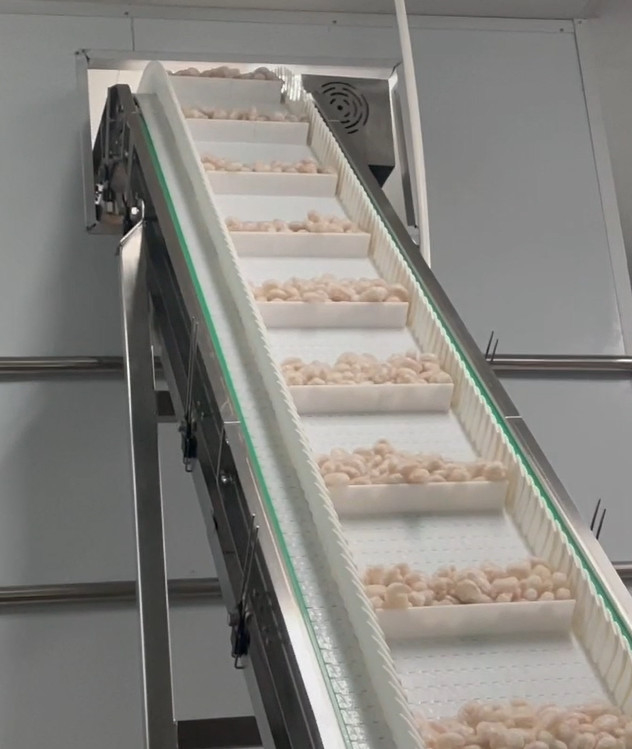 SS 304 Weigher Packaging Machine Icy Shrimp Workshop Packaging System الوزن المستهدف 200g ~ 1500g