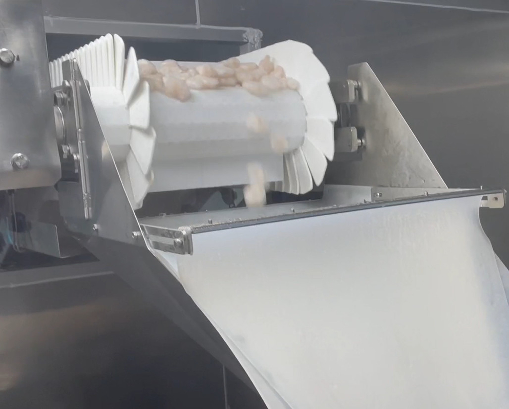 SS 304 Weigher Packaging Machine Icy Shrimp Workshop Packaging System الوزن المستهدف 200g ~ 1500g