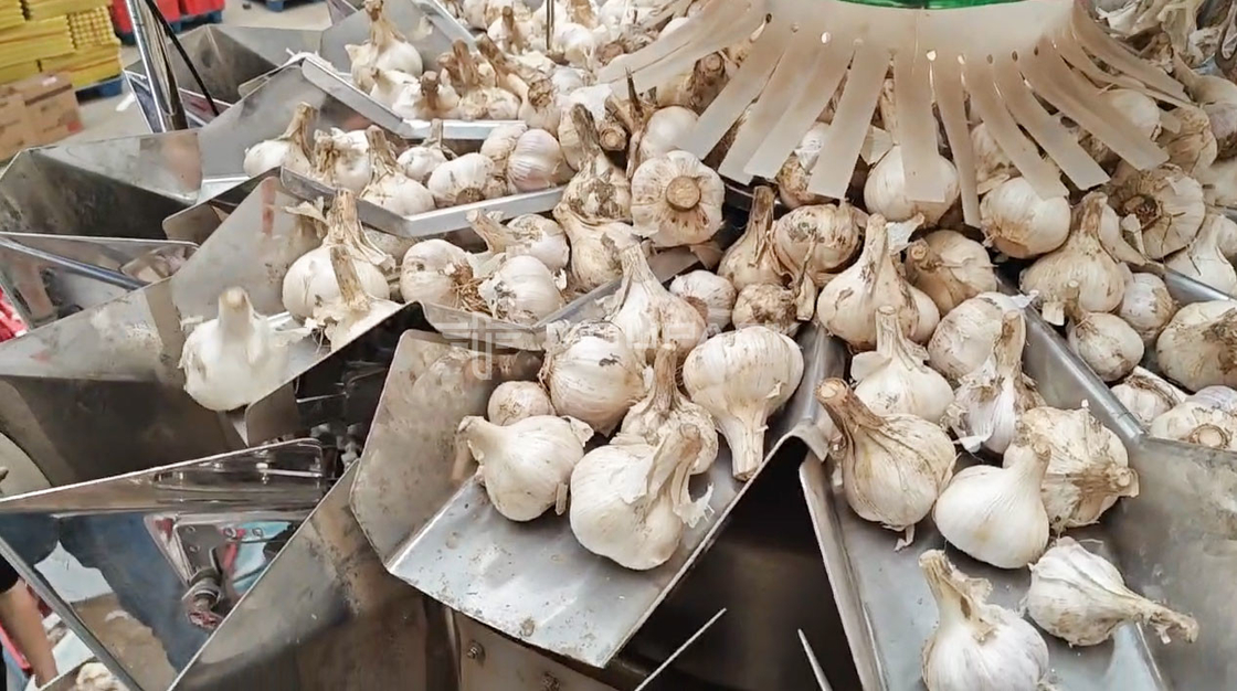 أوتوماتيكي أوتوماتيكي الوزن آلة كيس الفاصولياء براعم الكولياندر البطاطس الثوم الطفل الجزر حزمة آلة