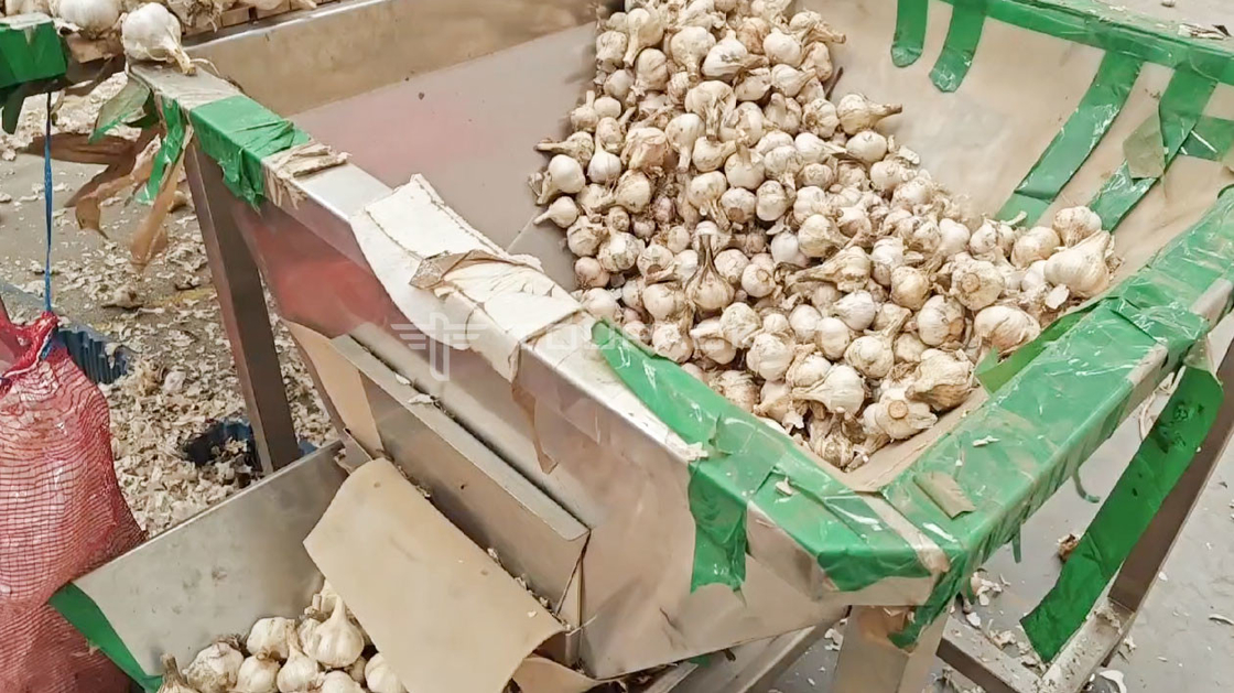أوتوماتيكي أوتوماتيكي الوزن آلة كيس الفاصولياء براعم الكولياندر البطاطس الثوم الطفل الجزر حزمة آلة