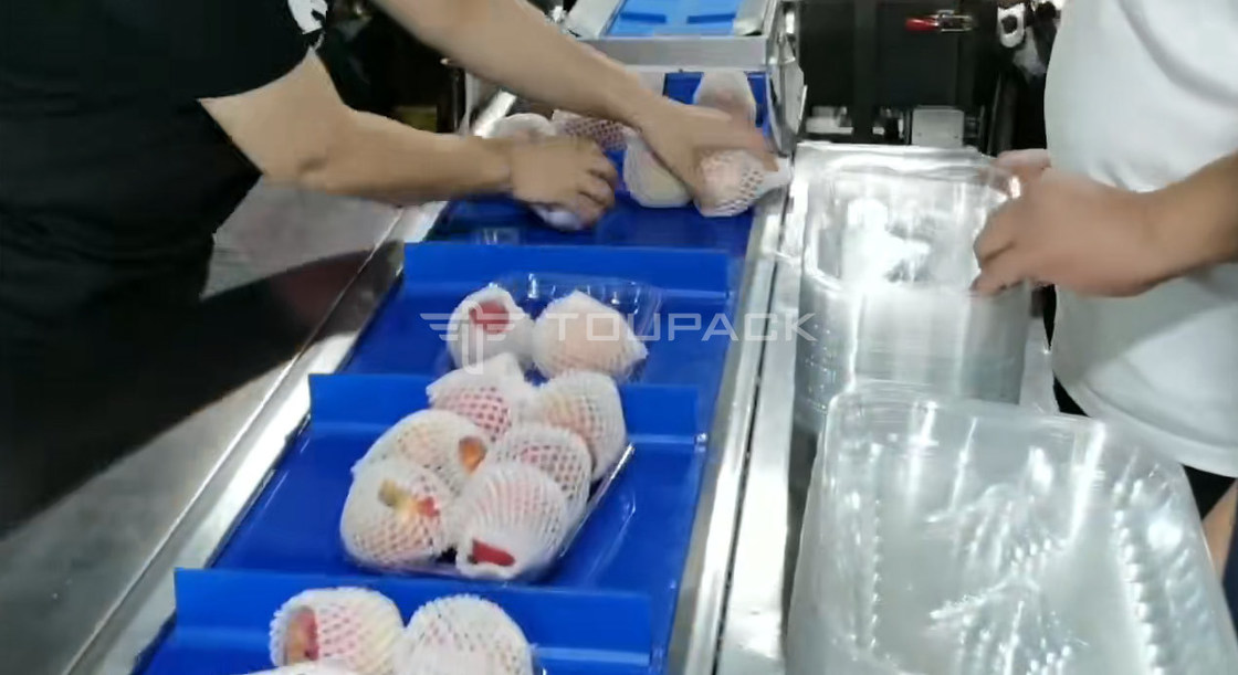 آلة تعبئة لفائف الوسائد، ميزان دمج وزن الكمثرى والتفاح، ميزان دمج الفاكهة، آلة تعبئة عالية الدقة