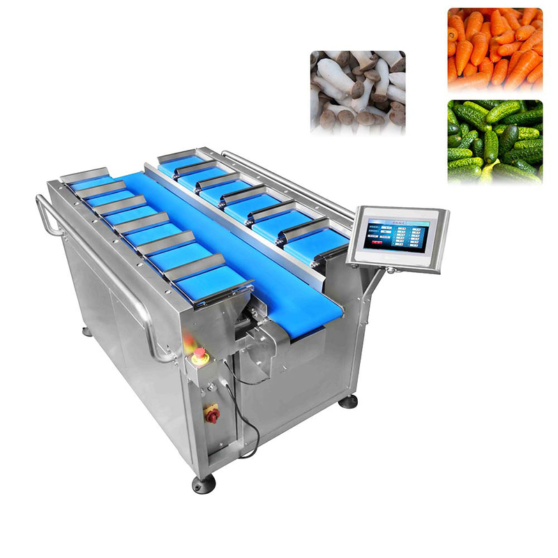 12 Head Multihead Weigher with Stainless Steel 304/316 Construction and 10