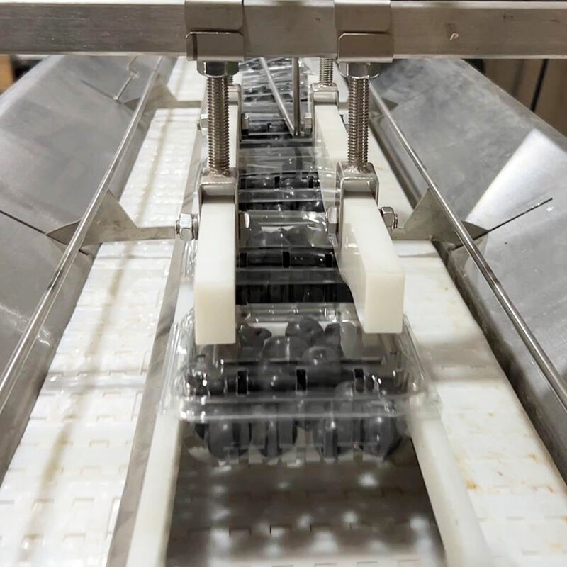 آلة تعبئة وتغليف الخضروات المجمدة الأوتوماتيكية عنبية التوت والطماطم الكرزية وآلة وزن وتعبئة الخضار