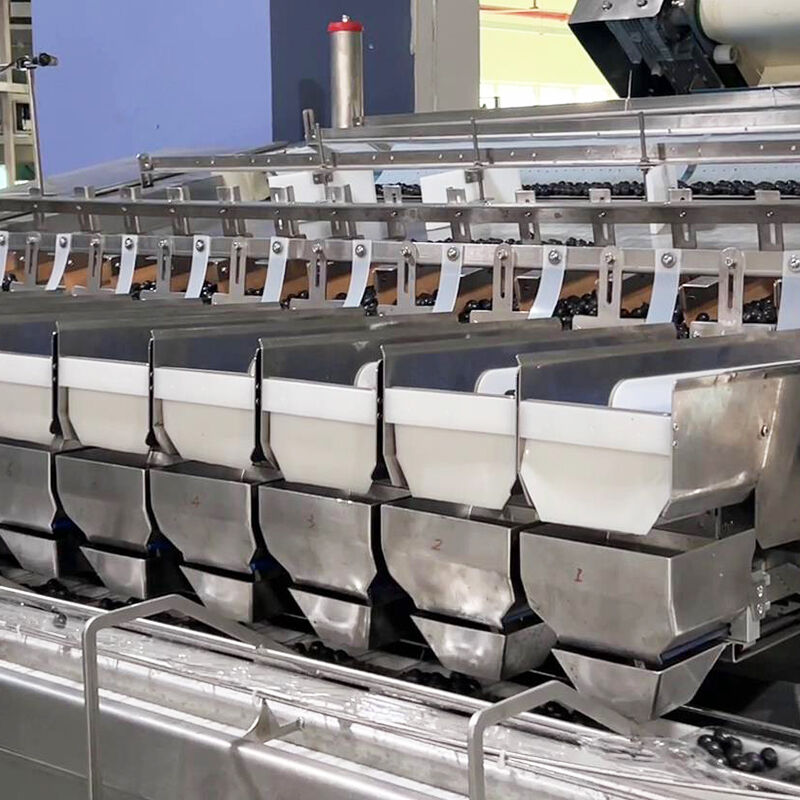 آلة تعبئة وتغليف الخضروات المجمدة الأوتوماتيكية عنبية التوت والطماطم الكرزية وآلة وزن وتعبئة الخضار