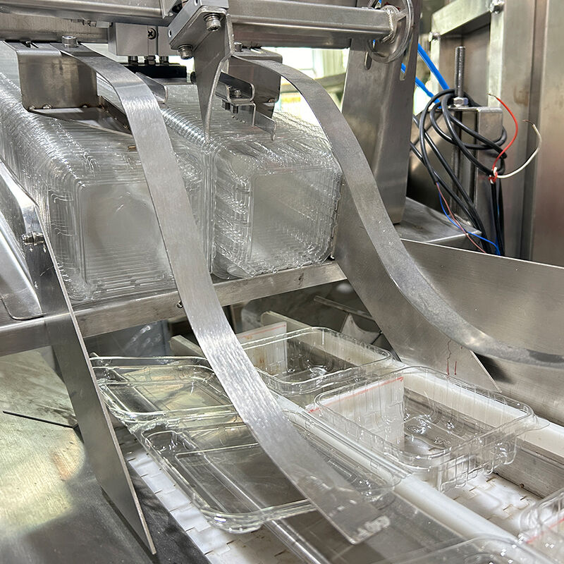 آلة تعبئة وتغليف الخضروات المجمدة الأوتوماتيكية عنبية التوت والطماطم الكرزية وآلة وزن وتعبئة الخضار