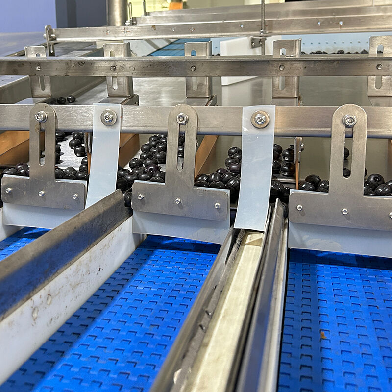 آلة تعبئة وتغليف الخضروات المجمدة الأوتوماتيكية عنبية التوت والطماطم الكرزية وآلة وزن وتعبئة الخضار