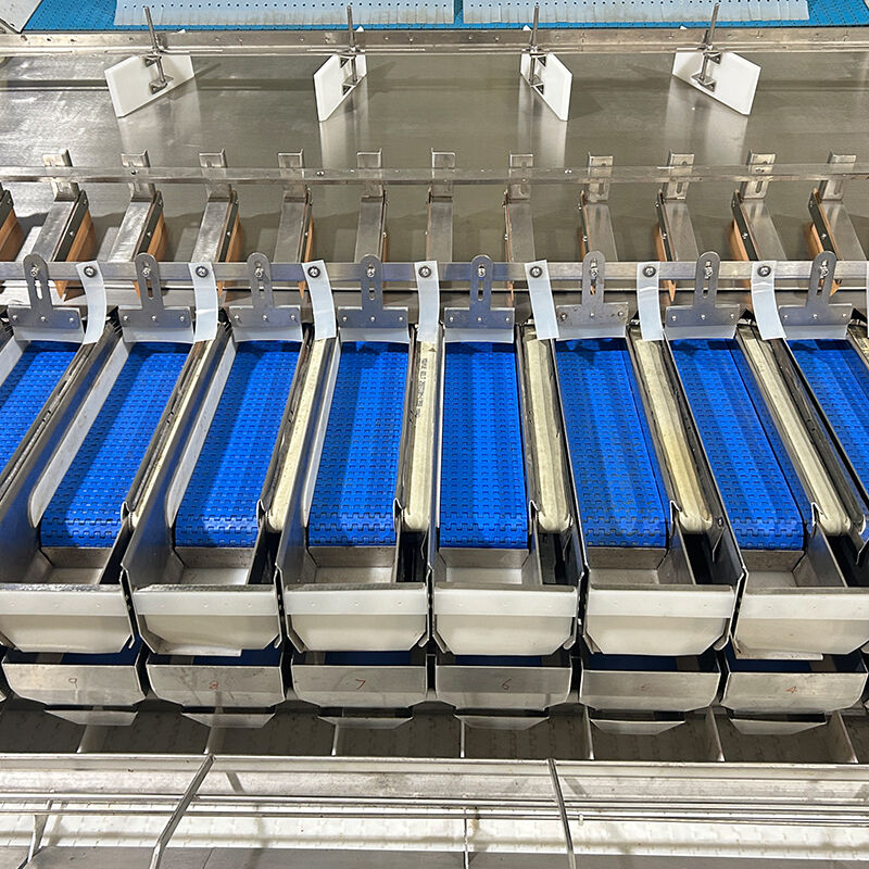 آلة تعبئة وتغليف الخضروات المجمدة الأوتوماتيكية عنبية التوت والطماطم الكرزية وآلة وزن وتعبئة الخضار