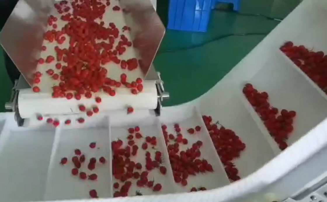 SUS304 Multihead Weigher نظام الوزن والتعبئة الأوتوماتيكي لفواكه الكرز المجمدة في الصناديق