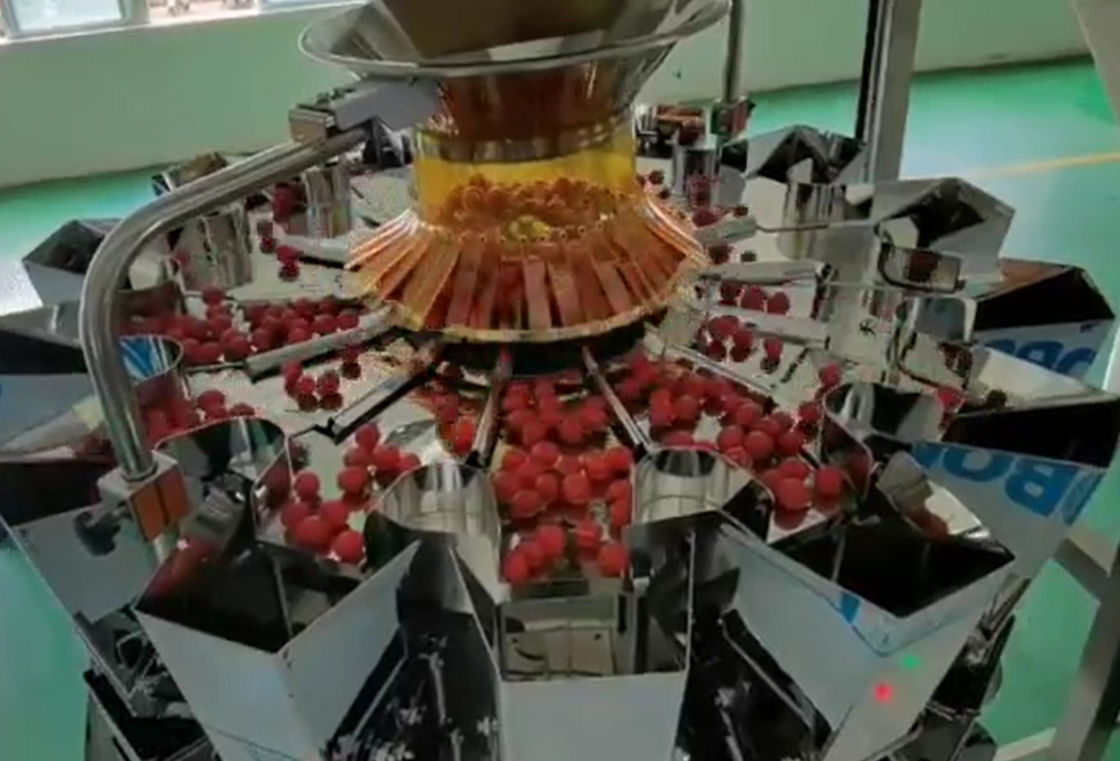 SUS304 Multihead Weigher نظام الوزن والتعبئة الأوتوماتيكي لفواكه الكرز المجمدة في الصناديق