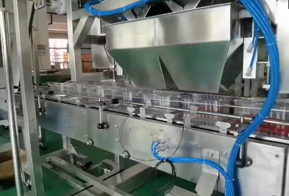 SUS304 Multihead Weigher نظام الوزن والتعبئة الأوتوماتيكي لفواكه الكرز المجمدة في الصناديق