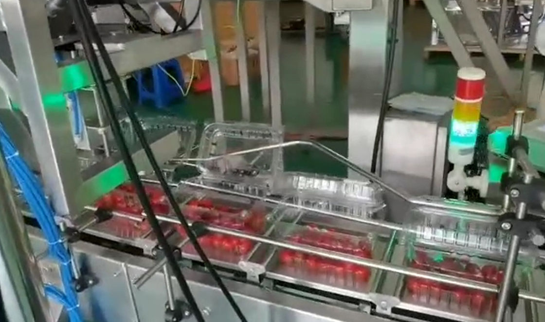 SUS304 Multihead Weigher نظام الوزن والتعبئة الأوتوماتيكي لفواكه الكرز المجمدة في الصناديق
