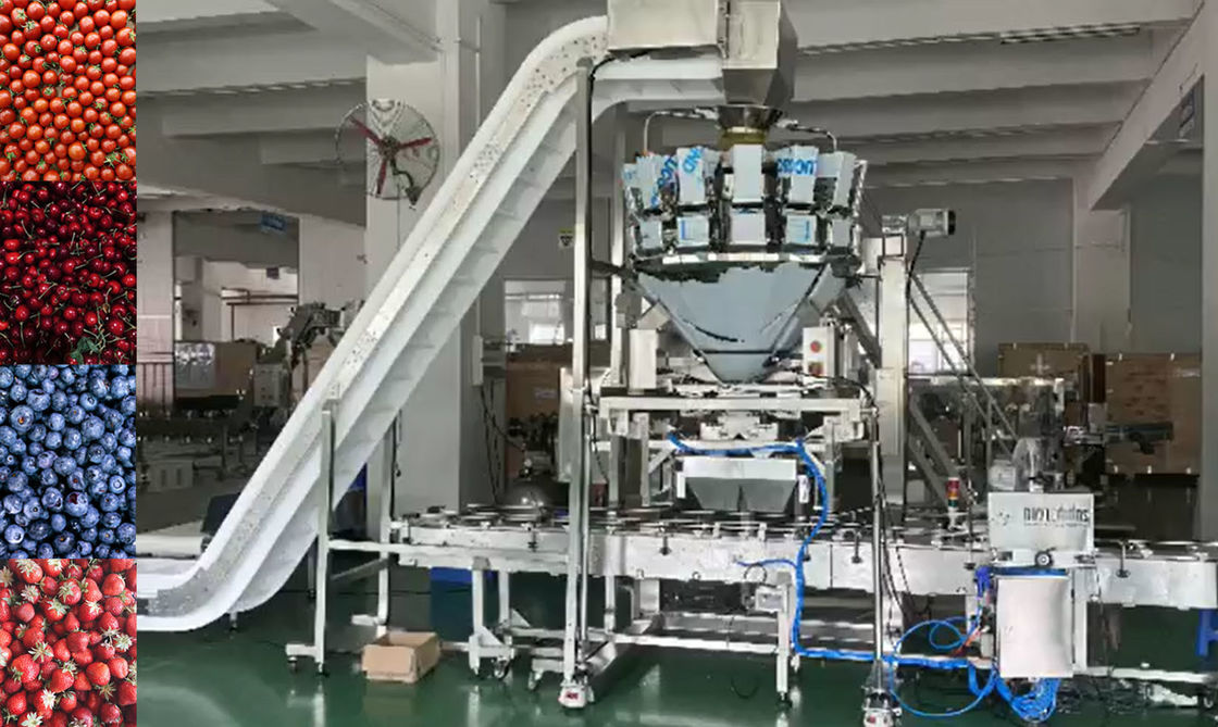 SUS304 Multihead Weigher نظام الوزن والتعبئة الأوتوماتيكي لفواكه الكرز المجمدة في الصناديق