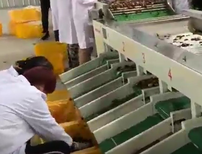 خط إنتاج الفرز لآلة الفرز من الصلب الكربوني 220 فولت