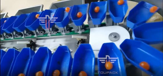 شاشة تعمل باللمس متعددة الصف آلة فرز الوزن الدائري لفواكه صفار السمك