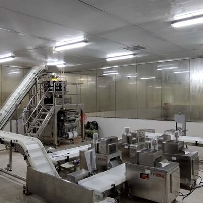 نظام الفرز الحزام الناقل ISO9001
