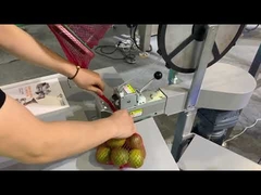 حالة تطبيق تغليف ووزن صافي للمنتجات الزراعية