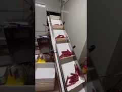 نظام وزن ونقل أوتوماتيكي للنقانق ذات الشكل الطويل، هوت دوج