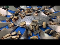 الوزن متعدد الرؤوس لوزن الأسماك