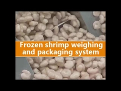 آلة تعبئة الوزن متعددة الرؤوس لحقيبة الدوسيك